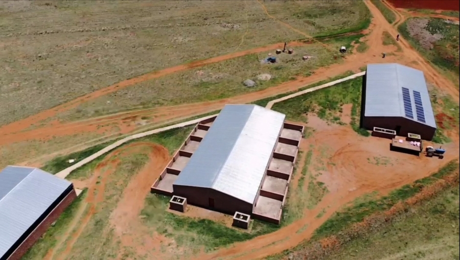 Commercial Property for Sale in Dealesville Free State